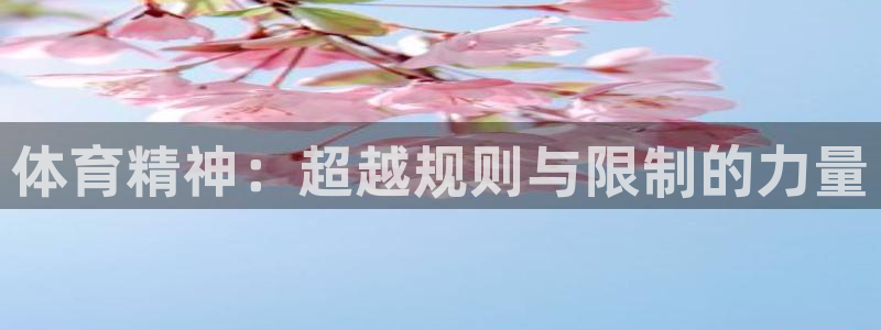 米兰体育官方下载入口